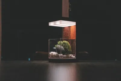 ADA LED Aquário: Guia Completo da Iluminação Premium