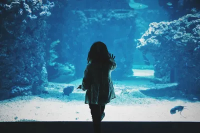 Como Escolher Iluminação para Aquário: Guia Completo
