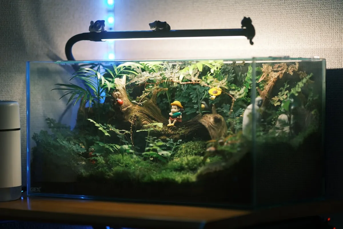 Iluminação para Aquário 60cm: Guia Completo de Escolha