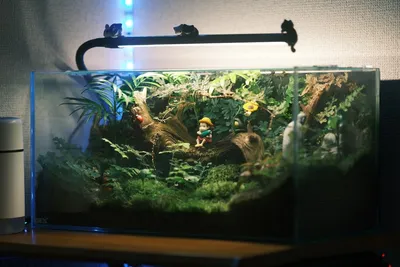 Iluminação para Aquário 60cm: Guia Completo de Escolha