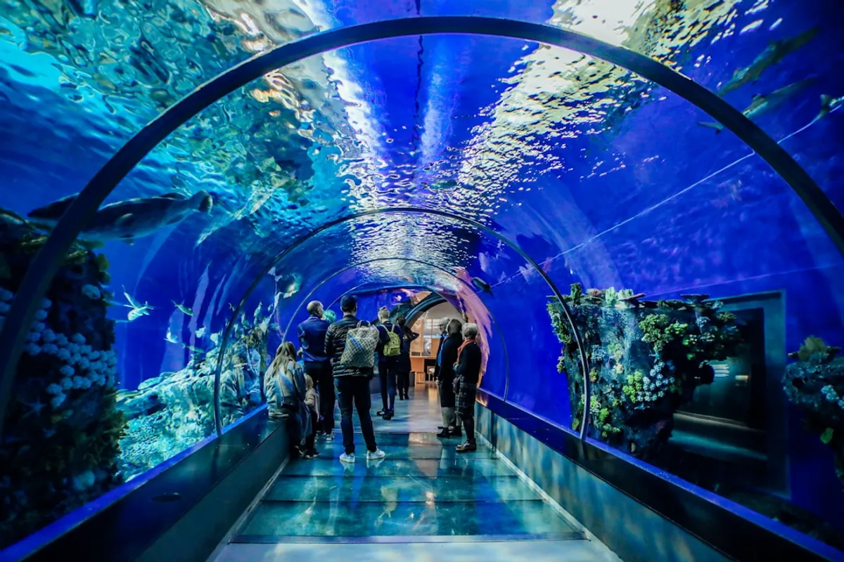 Iluminação para Aquário de Peixes: Guia Completo 2026