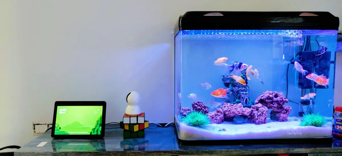 LED com Controle para Aquário: Guia Completo 2026