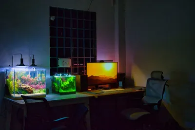 LED Doméstico Serve para Aquário? Entenda as Diferenças
