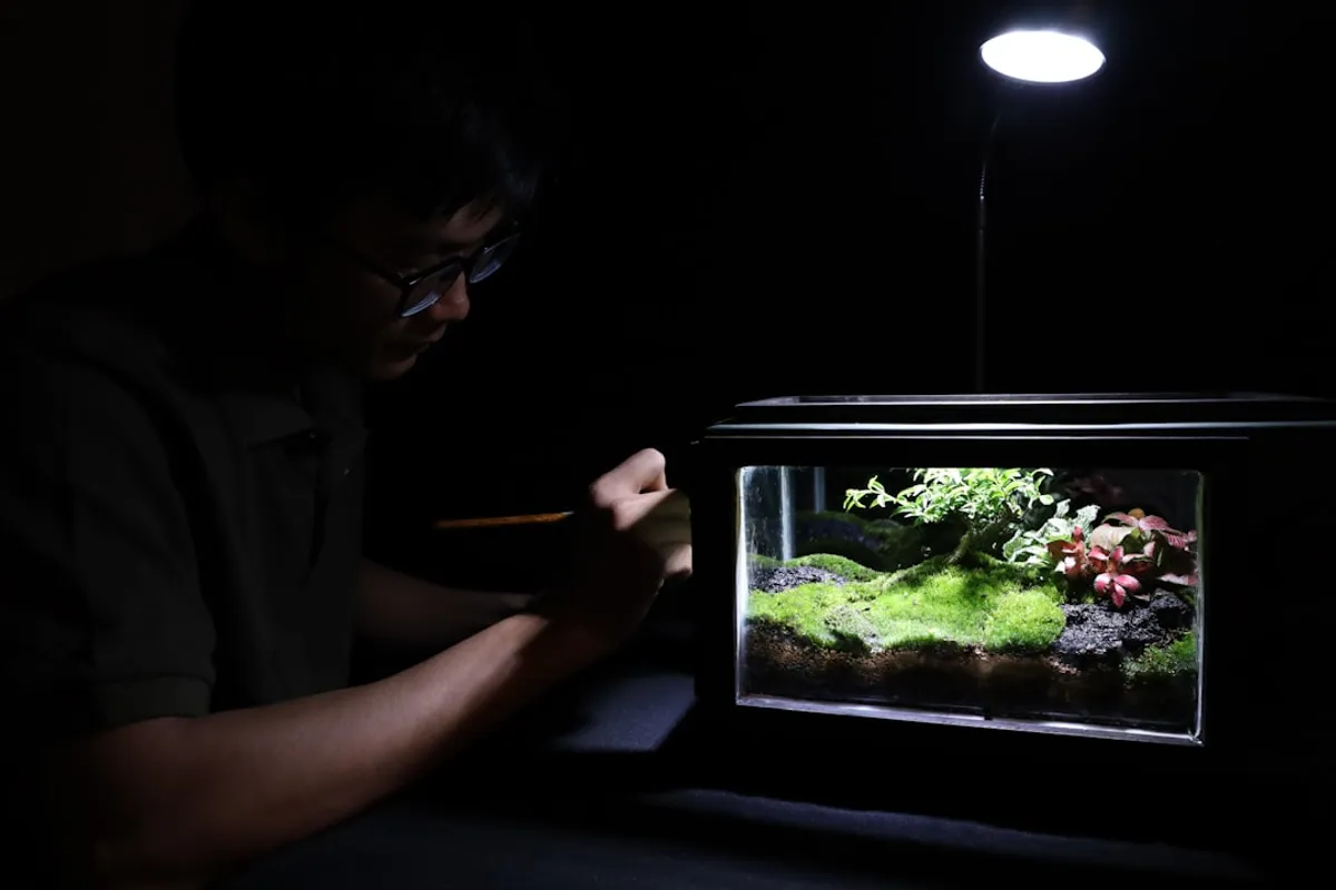 LED para Aquário Plantado: Guia Completo de Escolha