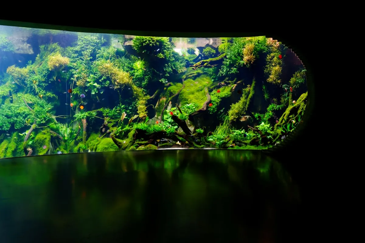 Luminária Aquário 50cm: Guia Completo para Escolher a Ideal