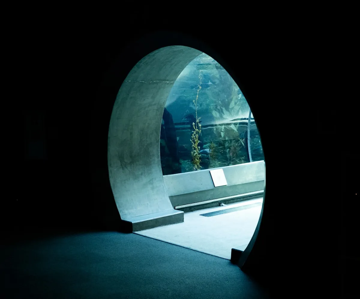 Luminária Suspensa Aquário: Guia Completo para Escolher