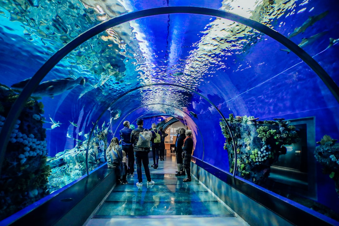 Iluminação para Aquário de Peixes: Guia Completo 2026